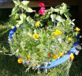 upload_img1
