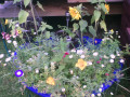 upload_img1