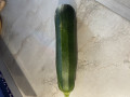 upload_img1