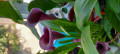 upload_img1