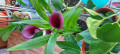 upload_img1
