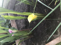 upload_img1