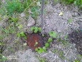 upload_img1