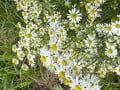upload_img1