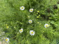 upload_img1