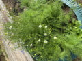 upload_img1