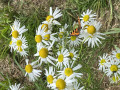 upload_img1