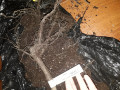 upload_img1
