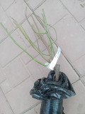 upload_img1