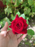upload_img1