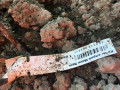 upload_img1
