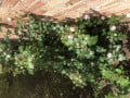 upload_img1