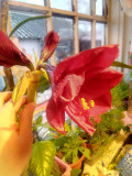 upload_img1