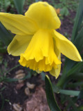 upload_img1