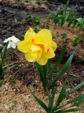 upload_img1