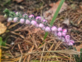 upload_img1