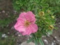 upload_img1
