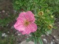 upload_img1