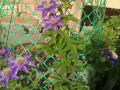 upload_img1
