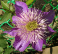 upload_img1