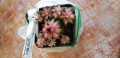 upload_img1
