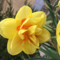 upload_img1