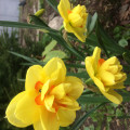 upload_img1