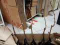 upload_img1