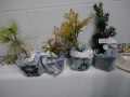 upload_img1