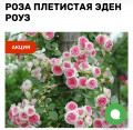 upload_img1