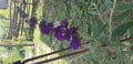 upload_img1