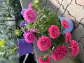 upload_img1