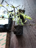upload_img1