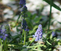 upload_img1