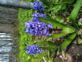 upload_img1
