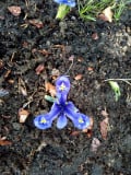 upload_img1