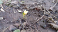 upload_img1