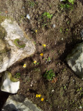 upload_img1
