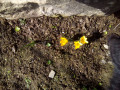 upload_img1