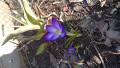 upload_img1