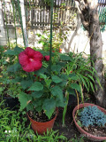 upload_img1