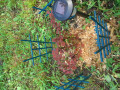 upload_img1