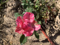 upload_img1