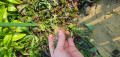 upload_img1