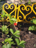 upload_img1