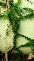upload_img1