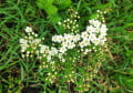 upload_img1