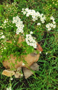 upload_img1