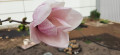 upload_img1