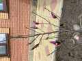 upload_img1